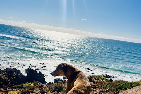 Coastal cliffs and Atlantic Ocean views near Mirleft, Morocco